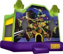 Teenage Mutant Ninja Turtles 15X15 Teenage Mutant Ninja Turtles 15X15